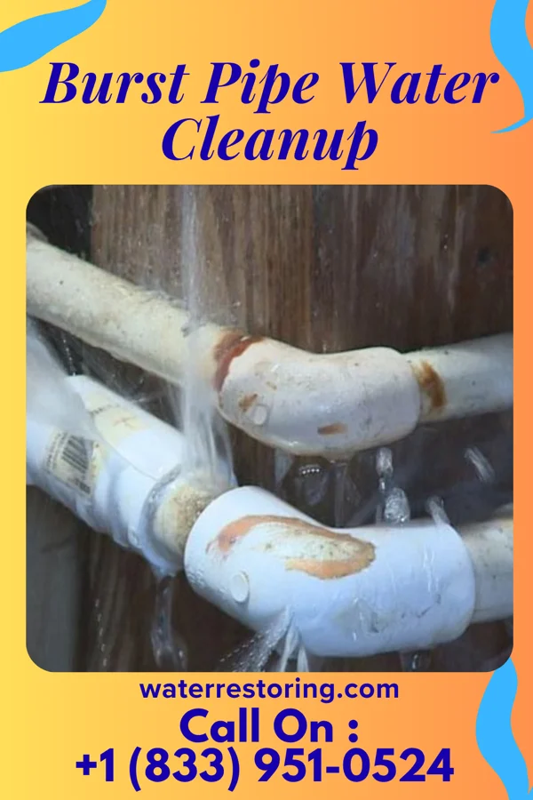 Burst Pipe Water Cleanup in Havensville, KS